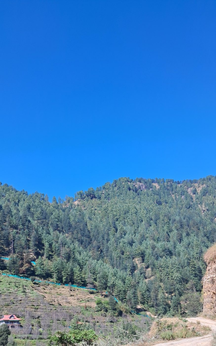 Basecamp Parvati — Basecamp, photo 5 of 7
